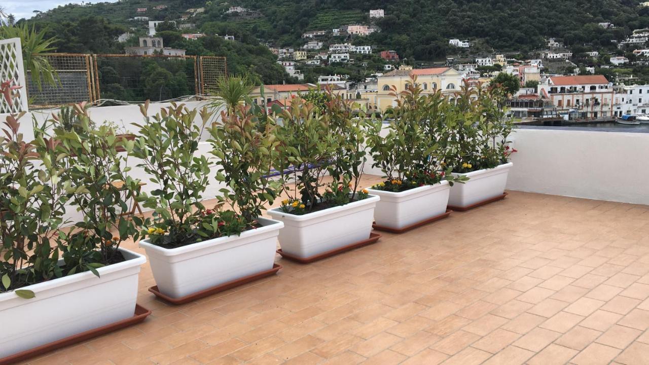 伊斯基亚Panorama Da Cartolina公寓 外观 照片